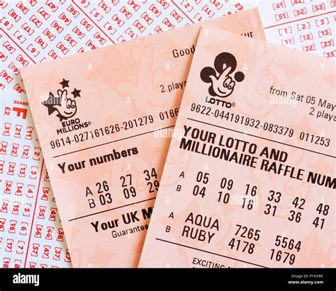 The lottery ticket .